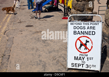 Panneau interdisant l les chiens sur la plage sur une chaussée couverte de sable Banque D'Images