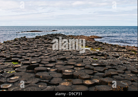 Fameuse Chaussée des Géants en Irlande du Nord (site du patrimoine mondial de l'UNESCO) Banque D'Images