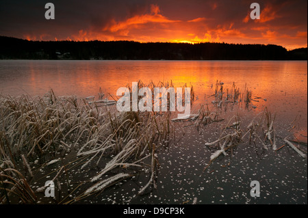 Belle heure d'or sur un matin d'hiver au bord du lac en Ravnsjø Østfold, Norvège. Le lac est une partie de l'eau appelé système Morsavassdraget. Banque D'Images