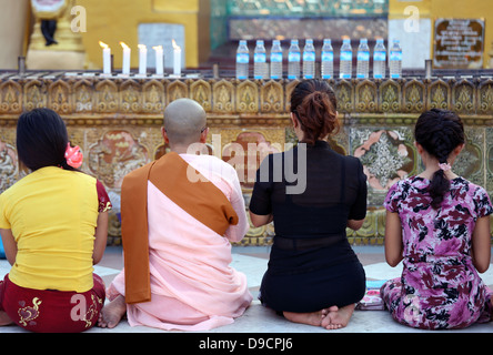 La nonne bouddhiste et trois compagnons priaient à la Paya Shwedagon à Rangoon (Myanmar), au Myanmar, Rangoon, Birmanie, en Asie du sud-est Banque D'Images