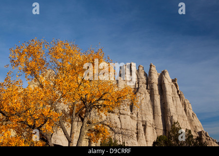 Plaza Blanca, les Badlands de 'Sierra Negra', White City, San Juan Bandlands, Nouveau Mexique Banque D'Images