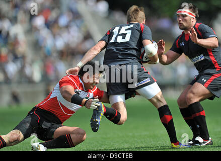 Harumichi Tatekawa du Japon s'attaque au cours du défi 2013 Lipovitan D entre le Japon 23-8 Galles au Prince Chichibu Memorial Stadium, Tokyo, Japon. (Photo de bla) Banque D'Images