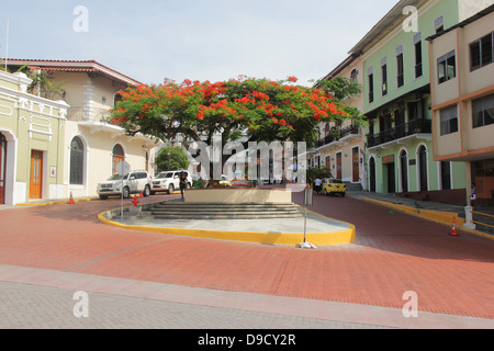 Avenida Eloy Alfaro bâtiments, Vieille Ville, Panama Banque D'Images