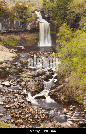 Thornton vigueur cascade dans les Yorkshire Dales. Banque D'Images