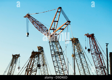 Groupe de grues de construction Banque D'Images