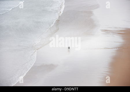 Personne seule, sur la plage, high angle Banque D'Images