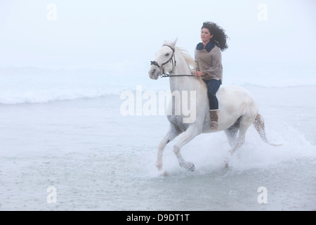 Woman riding horse on beach Banque D'Images