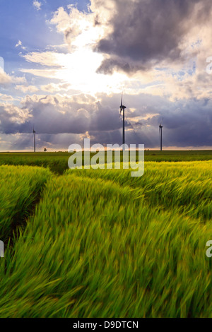 Les moulins à vent dans un champ de blé au coucher du soleil dans la campagne et sous un ciel d'orage Banque D'Images