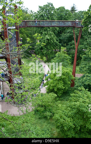 Xstrata Treetop Walkway, Kew Royal Botanic Gardens, London, UK Banque D'Images