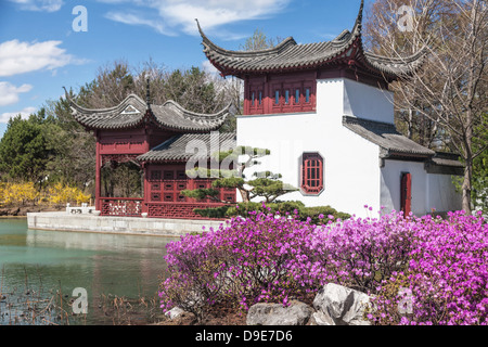 Jardin Chinois dans le Jardin botanique de Montréal, Montréal, Québec, Canada. Banque D'Images