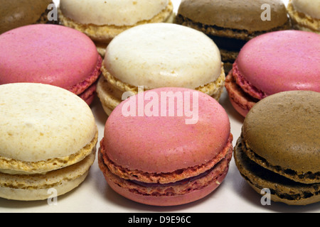 Biscuits macaron multicolore isolé sur blanc. Banque D'Images