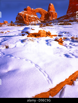 Pistes de lapin dans la neige en face de tourelle Arch dans la section Windows de Arches National Park près de Moab, Utah Banque D'Images