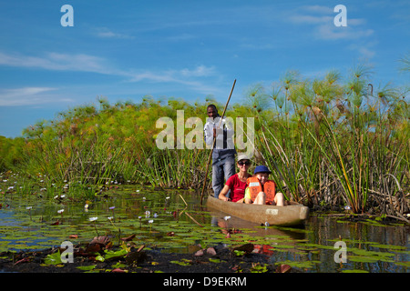 Les touristes étant pôles si lily pads en mokoro (pirogue), Okavango Delta, Botswana, Africa Banque D'Images