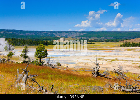 Paysage de la vapeur des geysers à Lower Geyser Basin vu de pot de peinture Fontaine Sentier dans le Parc National de Yellowstone, Wyoming Banque D'Images