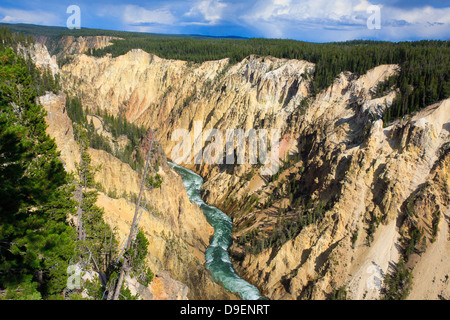 Grand Canyon de Yellowstone vu de rim de falaises près de départ à bord de Lower Falls sur soir d'été orageux Banque D'Images