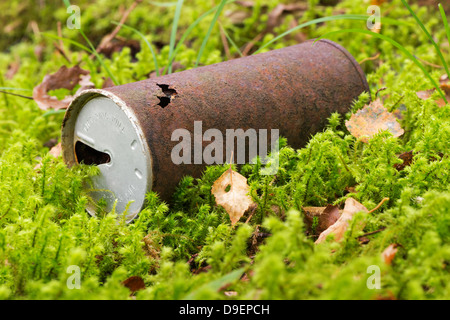 Beaucoup de ces cannettes des années 70 et 80 autour de la pose dans la forêt, mais ils sont en voie de l'abandonner à la nature. Banque D'Images