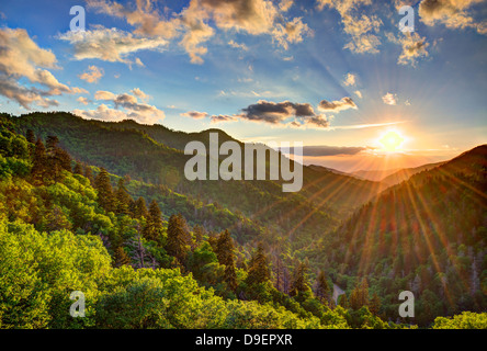 Newfound Gap dans les Smoky Mountains près de Gatlinburg, Tennessee. Banque D'Images