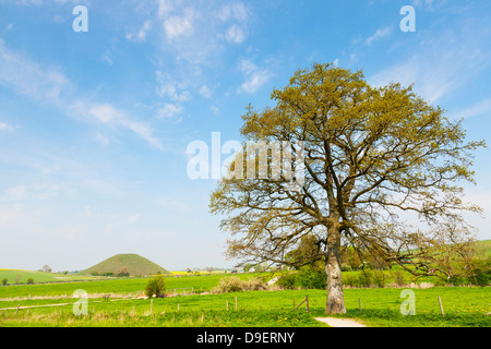 Silbury Hill dans son paysage, Wiltshire, Angleterre, au printemps. Personne ne sait pourquoi ce monticule a été mise ici, sauf... Banque D'Images