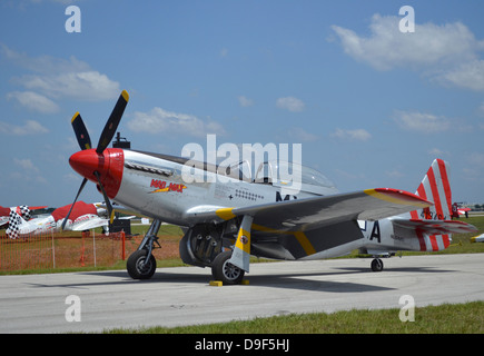 North American F-51D Mustang. Banque D'Images