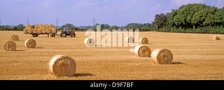 Une vue panoramique de balles de foin ou de paille - rouleaux - plus le tracteur et remorque dans un champ de blé, après la récolte, près de Stamford, Lincolnshire, Angleterre, Royaume-Uni. Banque D'Images