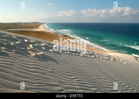 La plage de Deleisha sur l'île de Socotra, au Yémen Banque D'Images