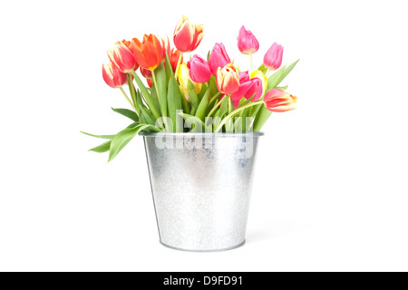 Tulipes dans un seau en métal tulipes dans un seau en métal Banque D'Images