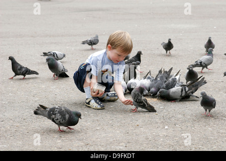 Boy feeding pigeons dans le parc (Parc Panfilov), Almaty, Kazakhstan, en Asie centrale Banque D'Images