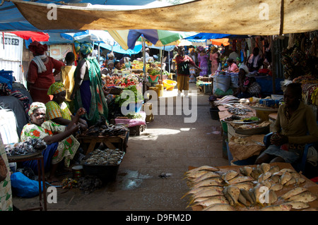 Royal Albert Marché, Banjul, Gambie, Afrique de l'Ouest, l'Afrique Banque D'Images