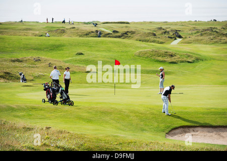 Terrain de golf, l'île de Heimaey, les îles Westman, Hofn, Islande, régions polaires Banque D'Images