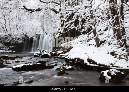 Sgwd Ddwli Cascade, parc national de Brecon Beacons, Powys, Wales, UK Banque D'Images