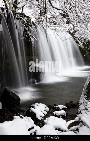 Sgwd Ddwli Cascade, parc national de Brecon Beacons, Powys, Wales, UK Banque D'Images