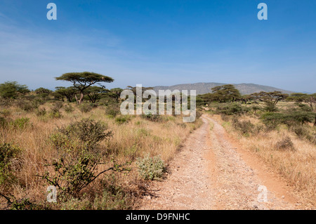 La Réserve nationale de Samburu, Kenya, Afrique de l'Est, l'Afrique Banque D'Images