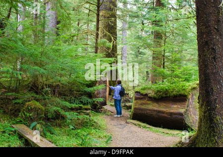 Randonnée dans le Parc Provincial Naikoon, Haida Gwaii (îles de la Reine Charlotte), British Columbia, Canada Banque D'Images