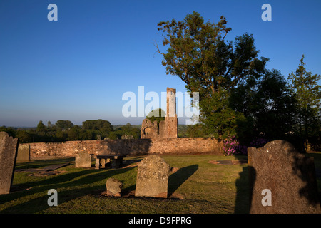 12e siècle St Mary's Abbaye Augustinienne fondée par Diarmait MacMurrough, Fougères, comté de Wexford, Irlande Banque D'Images