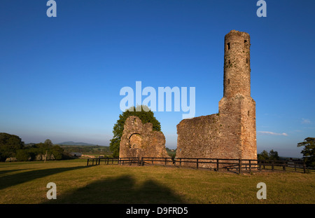 12e siècle St Mary's Abbaye Augustinienne fondée par Diarmait MacMurrough, Fougères, comté de Wexford, Irlande Banque D'Images