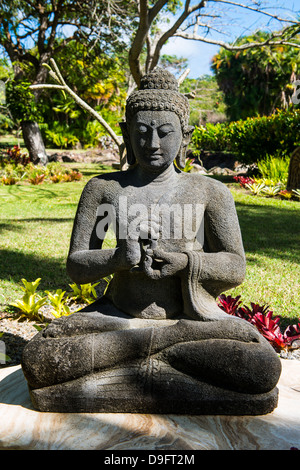 Statues bouddhiques dans le jardin botanique à l'île de Nevis, Saint Kitts et Nevis, Caraïbes Banque D'Images