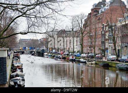 Mouettes sur canal dans l'hiver, Amsterdam, Pays-Bas - Jan 2012 Banque D'Images