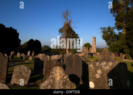 12e siècle St Mary's Abbaye Augustinienne fondée par Diarmait MacMurrough, Fougères, comté de Wexford, Irlande Banque D'Images