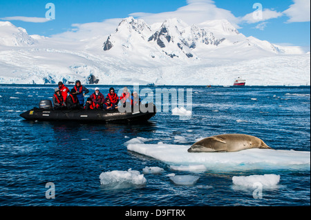 Les touristes dans un zodiac en face de glaciers au Ciera Cove à leopard à un joint, l'Antarctique, régions polaires Banque D'Images