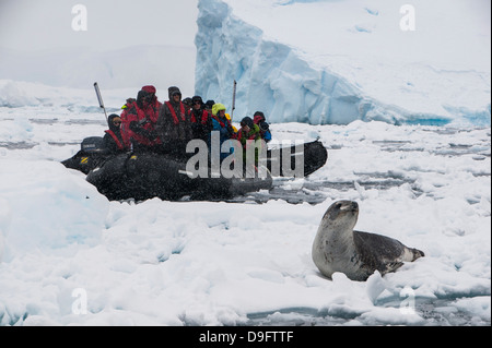 Les touristes dans un Zodiac à la recherche d'un joint à Leopard (Hydrurga leptonyx), Enterprise Island, l'Antarctique, régions polaires Banque D'Images