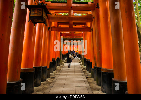 Les portes de rouge sans fin du Sanctuaire Fushimi Inari de Kyoto, Kyoto, Japon Banque D'Images