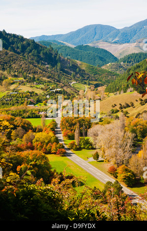 Paysage d'automne, prises du centre de la Nouvelle-Zélande, Nelson, île du Sud, Nouvelle-Zélande Banque D'Images