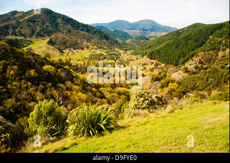 Prises du paysage du centre-ville de New Zealand, Nelson Hill, Nelson, île du Sud, Nouvelle-Zélande Banque D'Images