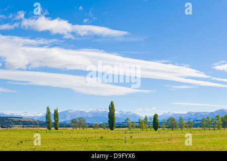 Campagne Près de Queenstown, Otago, île du Sud, Nouvelle-Zélande Banque D'Images