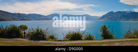 Lake Hawea, West Coast, South Island, New Zealand Banque D'Images