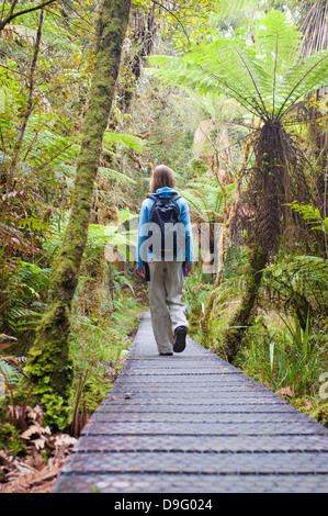 Lake Matheson, touristique sur le chemin de ronde dans la forêt, Westland National Park, South Island, New Zealand Banque D'Images