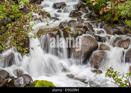 Petite Cascade près de Mendenhall Glacier, sud-est de l'Alaska, USA Banque D'Images