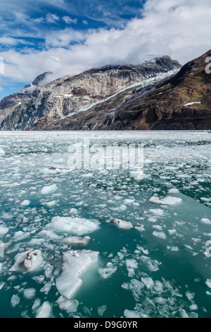 D'entrée de l'Université Johns Hopkins, Fairweather Range, et la Réserve de parc national Glacier Bay, sud-est de l'Alaska, USA Banque D'Images