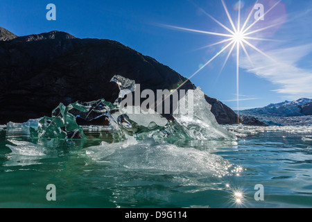 La glace vêlé du Glacier Sawyer, Williams Cove, Tracy Arm-Ford la terreur de l'espace sauvage, le sud-est de l'Alaska, USA Banque D'Images