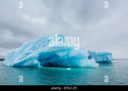 La glace vêlé du LeConte Glacier, à l'extérieur de Saint-Pétersbourg, le sud-est de l'Alaska, USA Banque D'Images